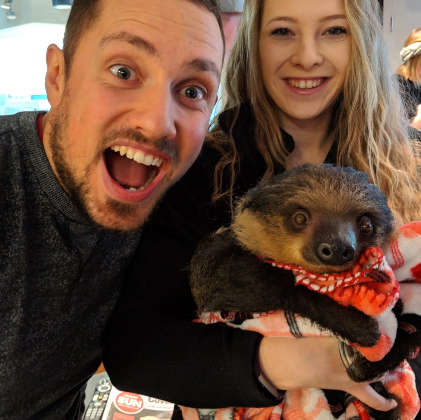 What's the coolest animal you have seen in real life? CochraneNow Cochrane, Alberta's latest